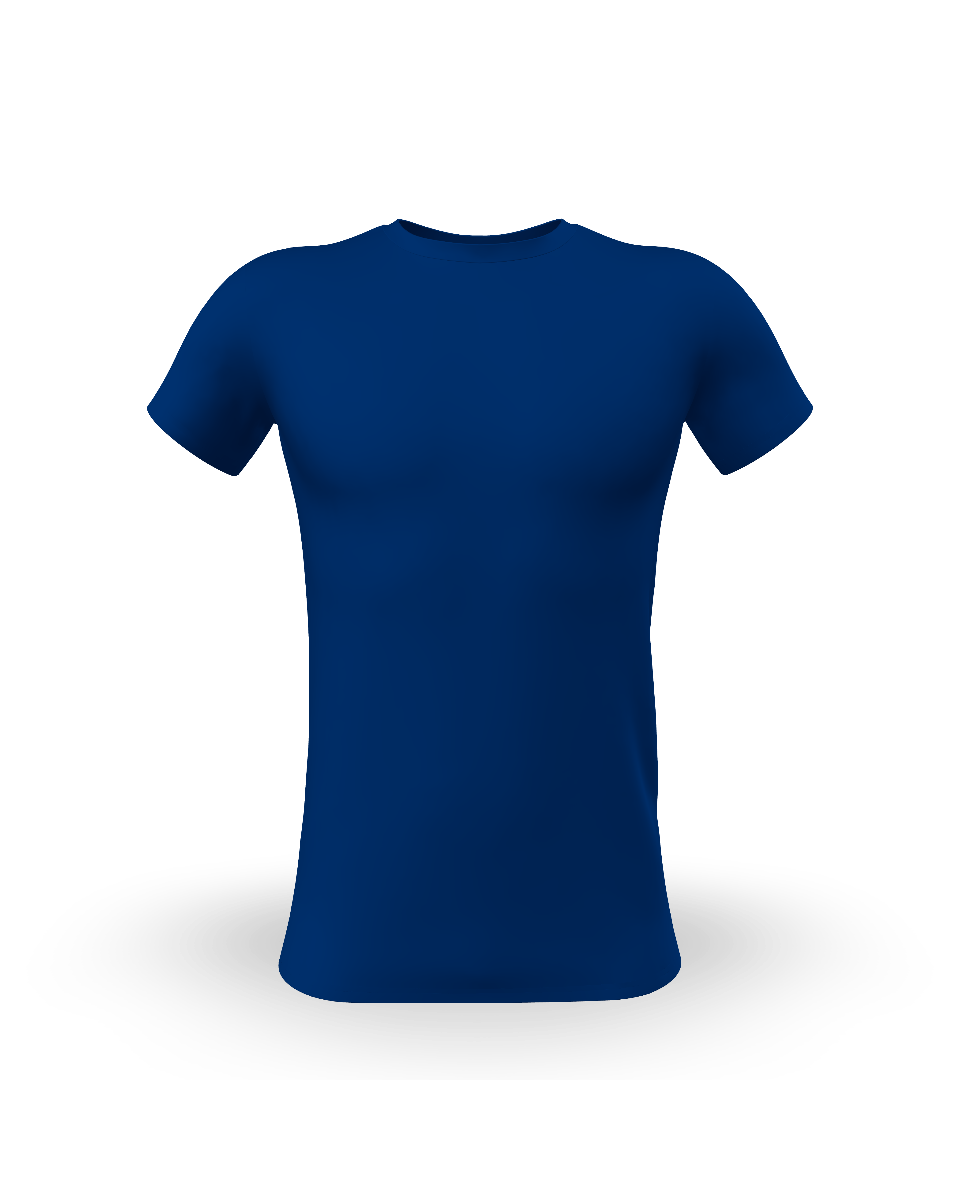 Snapshot for French Navy