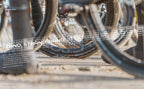 Bestel de winter-editie van RIDE Magazine (2023)